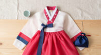 15 Best Hanbok Dresses in 2026