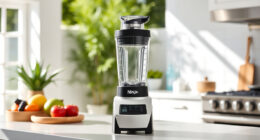 Beat the Summer Heat with Ninja Blast Max Portable Blender Tips