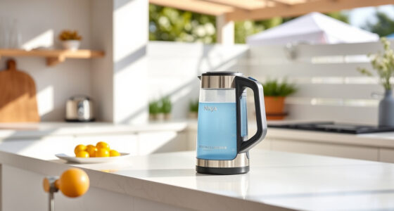 Ninja KT200BL Precision Temp Kettle: Perfect for Summer Tea & Coffee