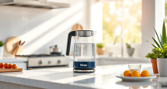 Perfect Summer Beverages: Essential Accessories for Your Ninja KT200BL Kettle