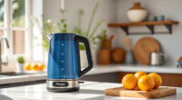 Summer Sips Made Perfect: Hacks for Your Ninja KT200BL Electric Kettle