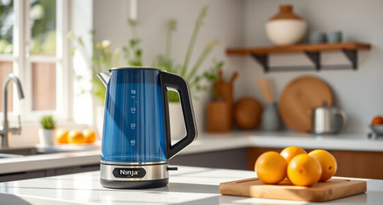 Summer Sips Made Perfect: Hacks for Your Ninja KT200BL Electric Kettle